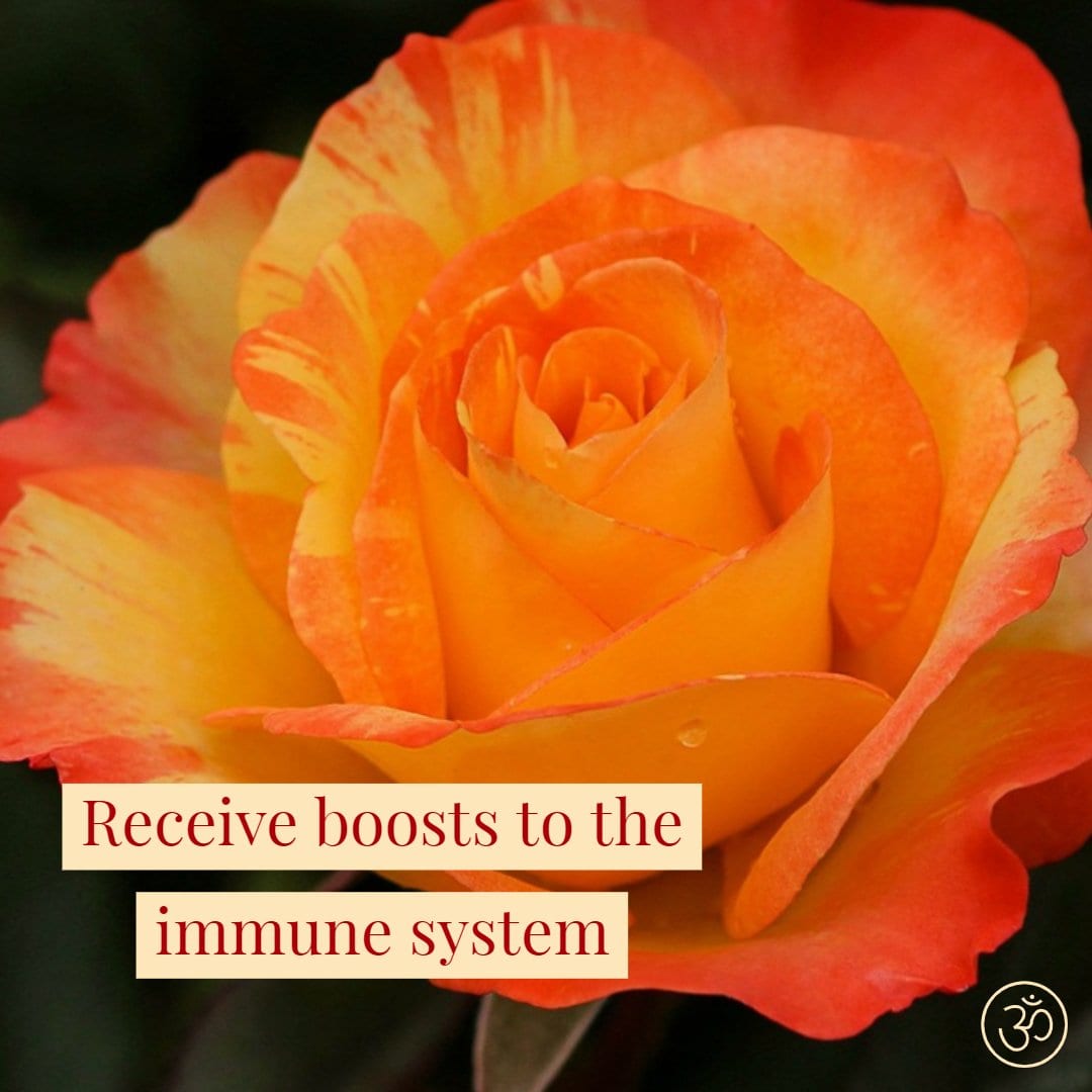 Receive Boosts to the Immune System