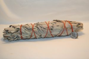 Book Cover: Large Organic Native American CALIFORNIA WHITE SAGE and Smudging Bundle 8 to 9 Inch from Native California White Sage