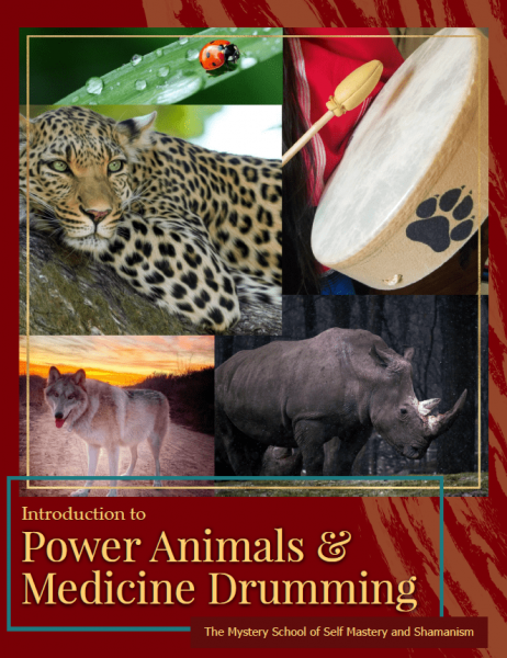 Cover Photo for The Power Animal & Medicine Drumming eBook